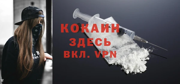 2c-b Горнозаводск